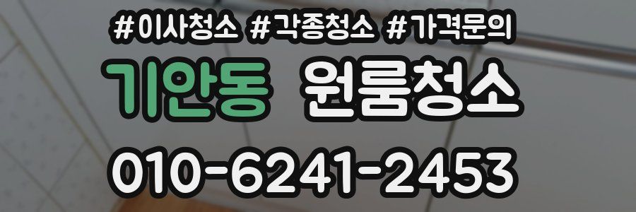 기안동 이사청소