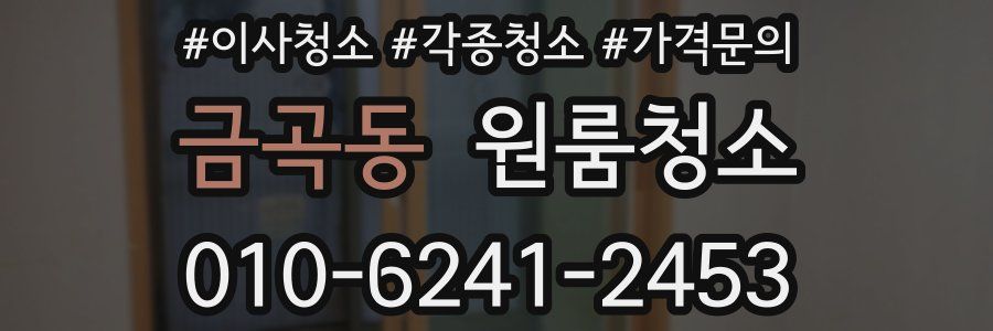 금곡동 이사청소