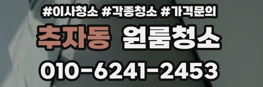 추자동 이사청소