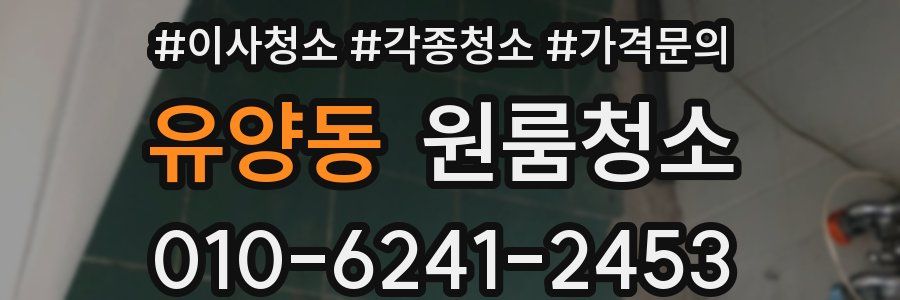 유양동 이사청소