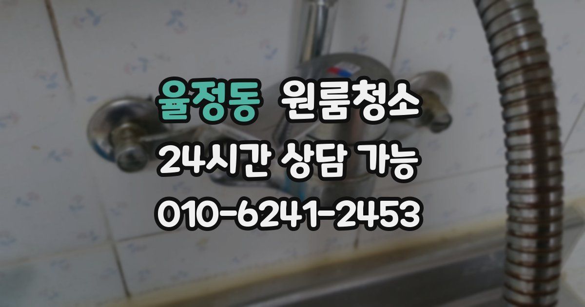 율정동 입주청소