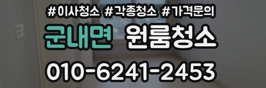 군내면 이사청소