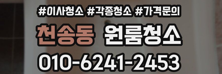 천송동 이사청소