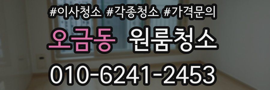 오금동 이사청소