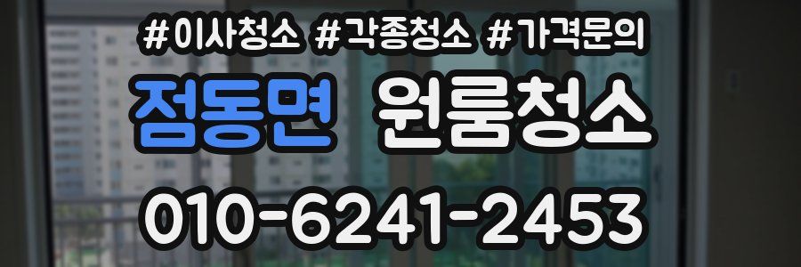 점동면 이사청소