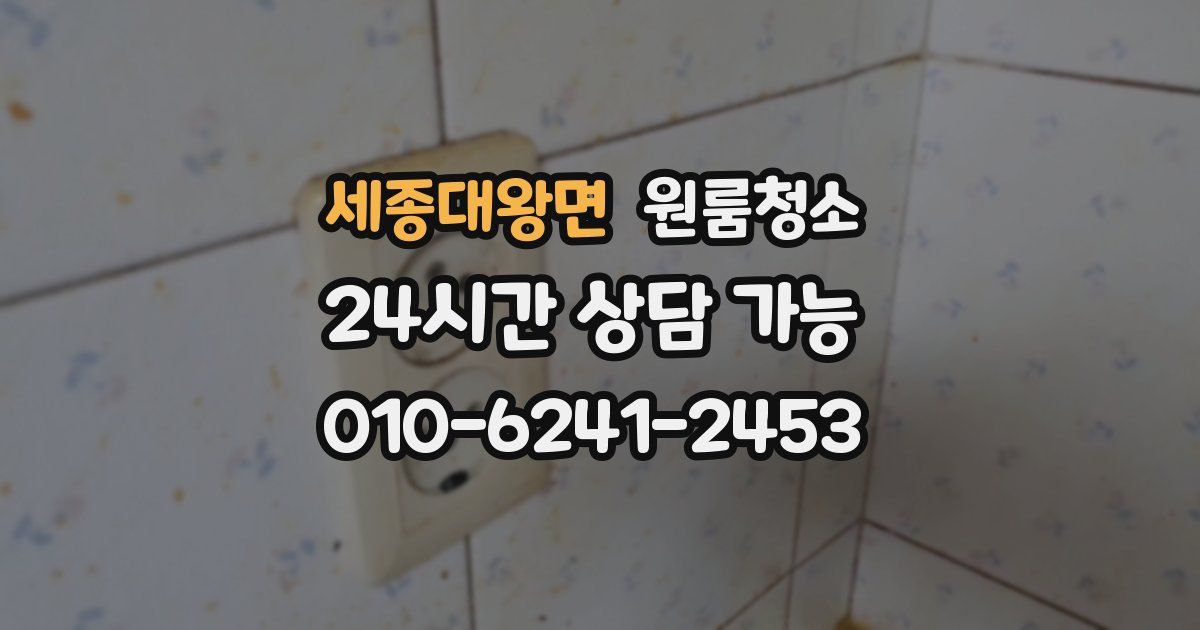 세종대왕면 입주청소