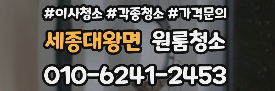 세종대왕면 이사청소