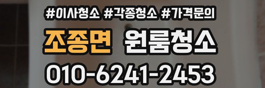 조종면 이사청소