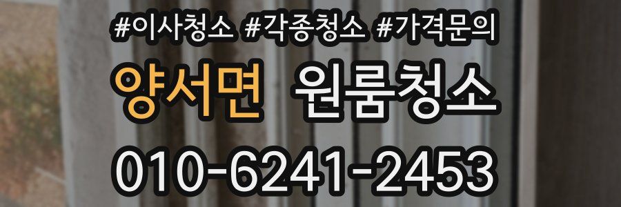 양서면 이사청소