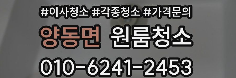 양동면 이사청소