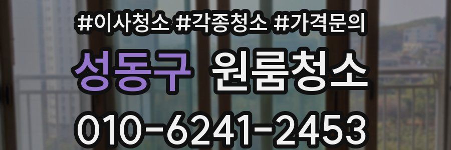 성동구 이사청소