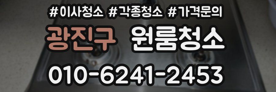 광진구 이사청소