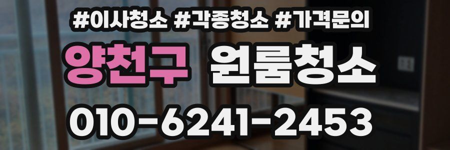 양천구 이사청소