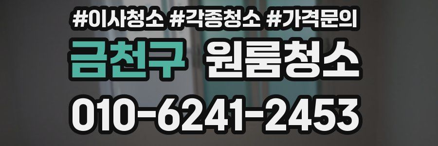금천구 이사청소
