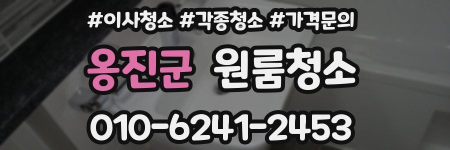 옹진군 이사청소