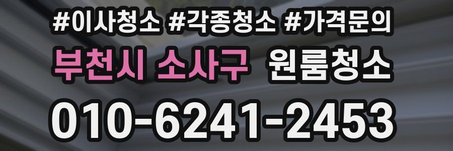 부천시 소사구 이사청소