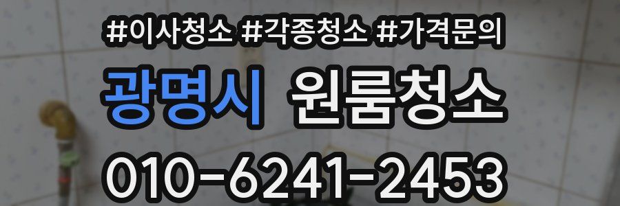 광명시 이사청소