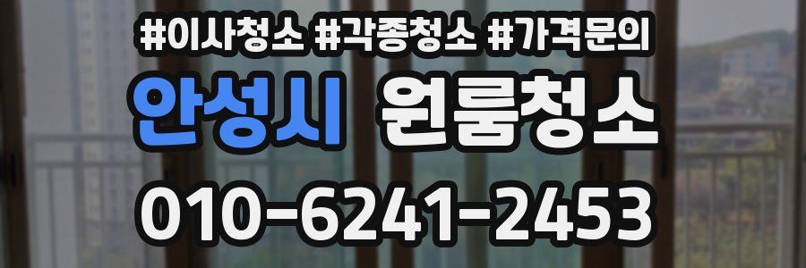 안성시 이사청소