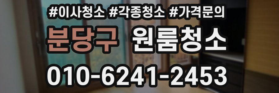 분당구 이사청소