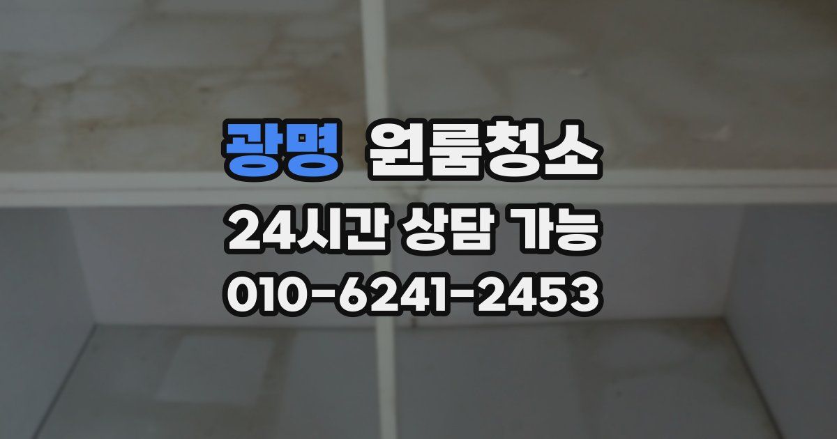 광명 입주청소