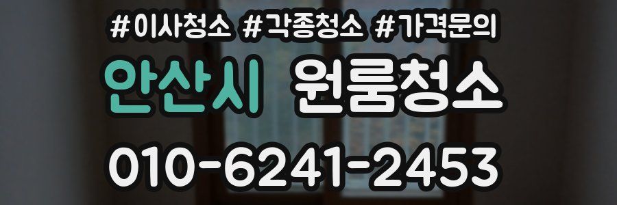 안산시 이사청소