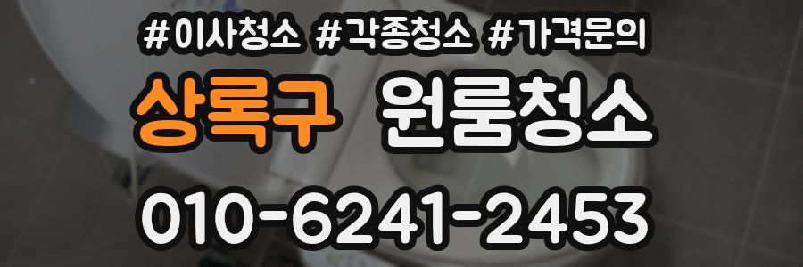 상록구 이사청소