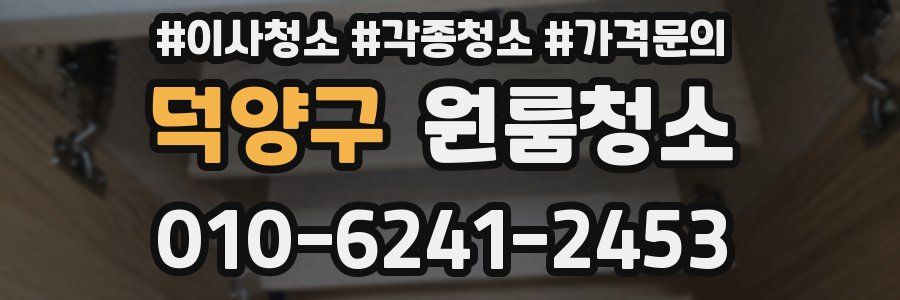 덕양구 이사청소