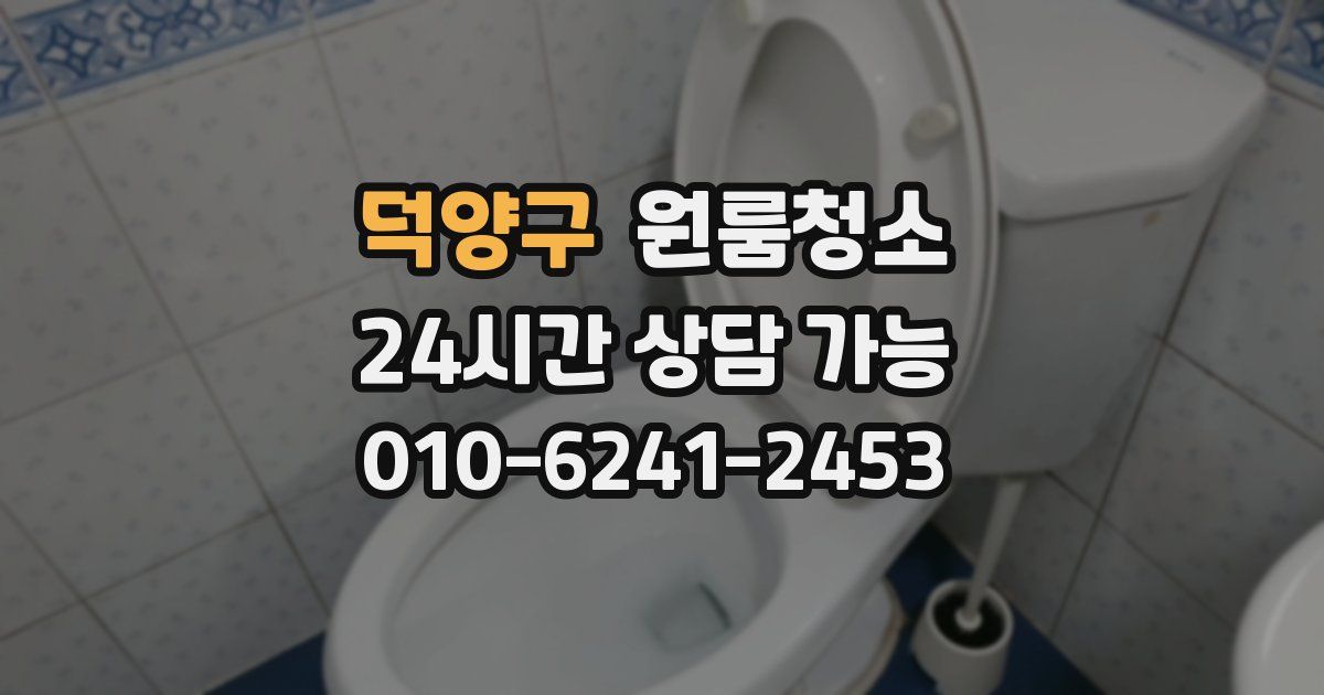 덕양구 입주청소