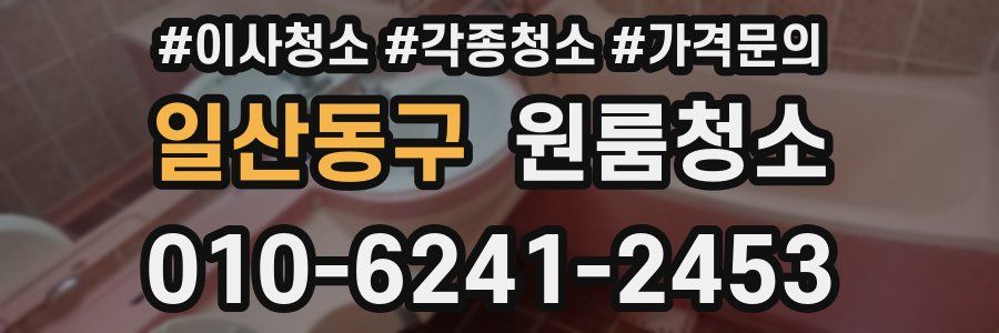 일산동구 이사청소