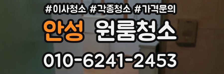 안성 이사청소