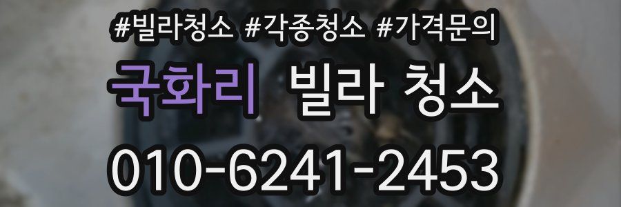 국화리 빌라 청소