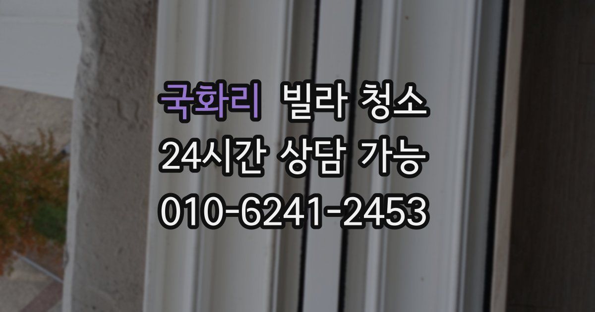 국화리 빌라 청소