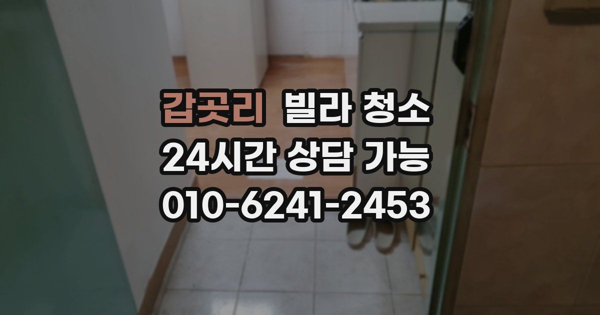갑곳리 빌라 청소