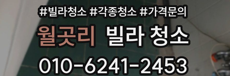 월곳리 빌라 청소