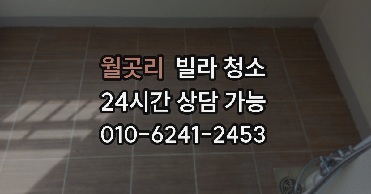 월곳리 빌라 청소