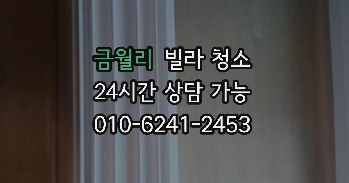 금월리 빌라 청소