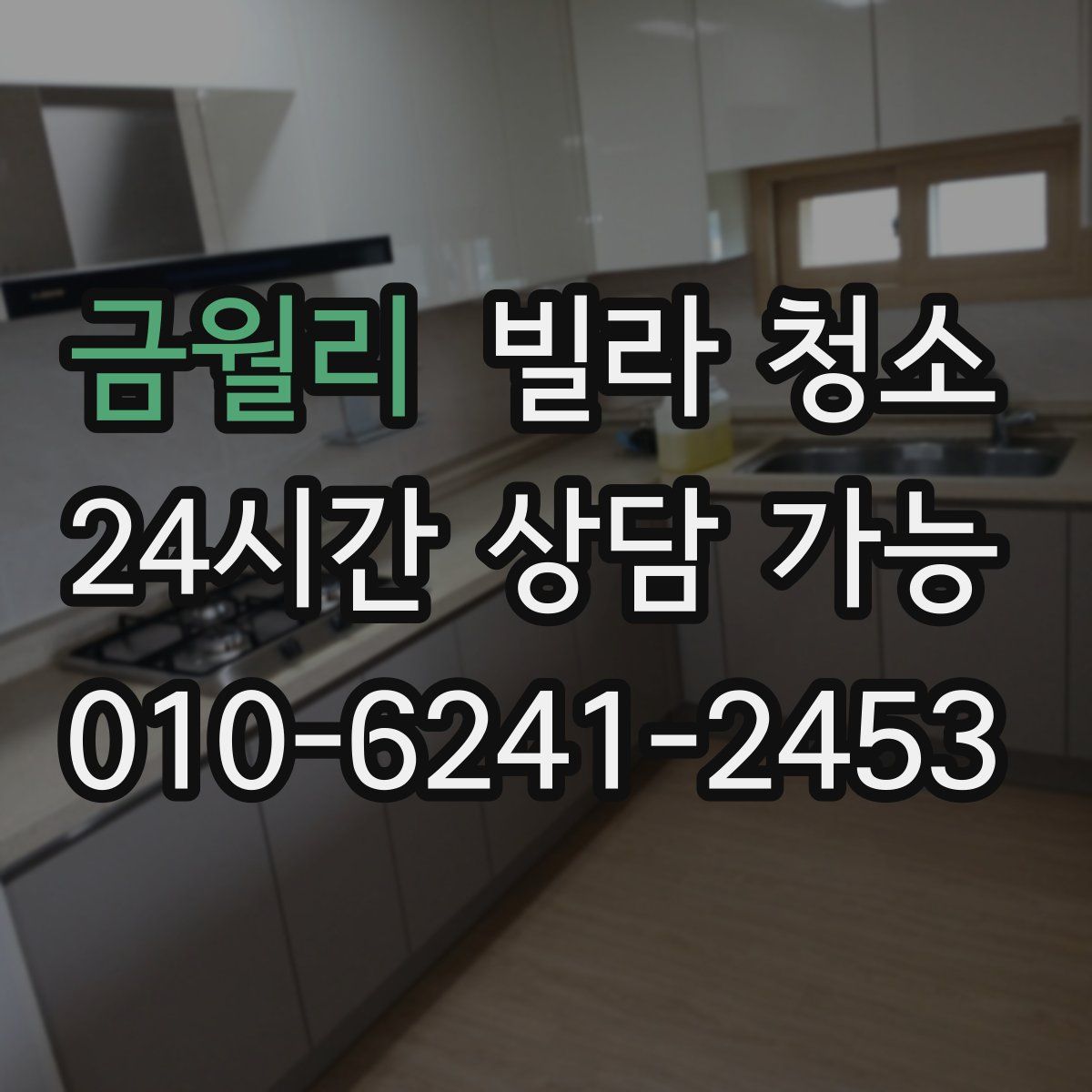 금월리 빌라 청소