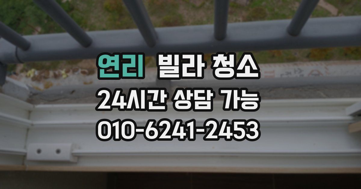 연리 빌라 청소