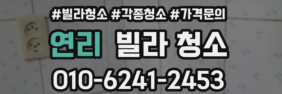 연리 빌라 청소