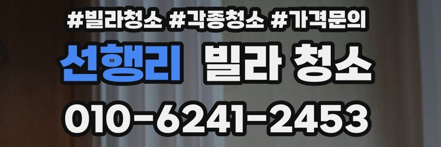 선행리 빌라 청소