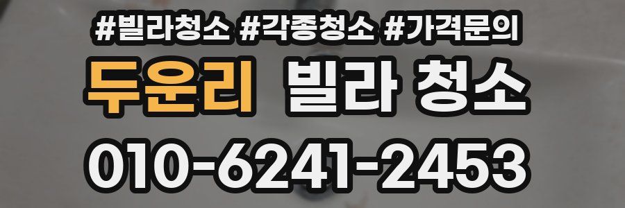 두운리 빌라 청소