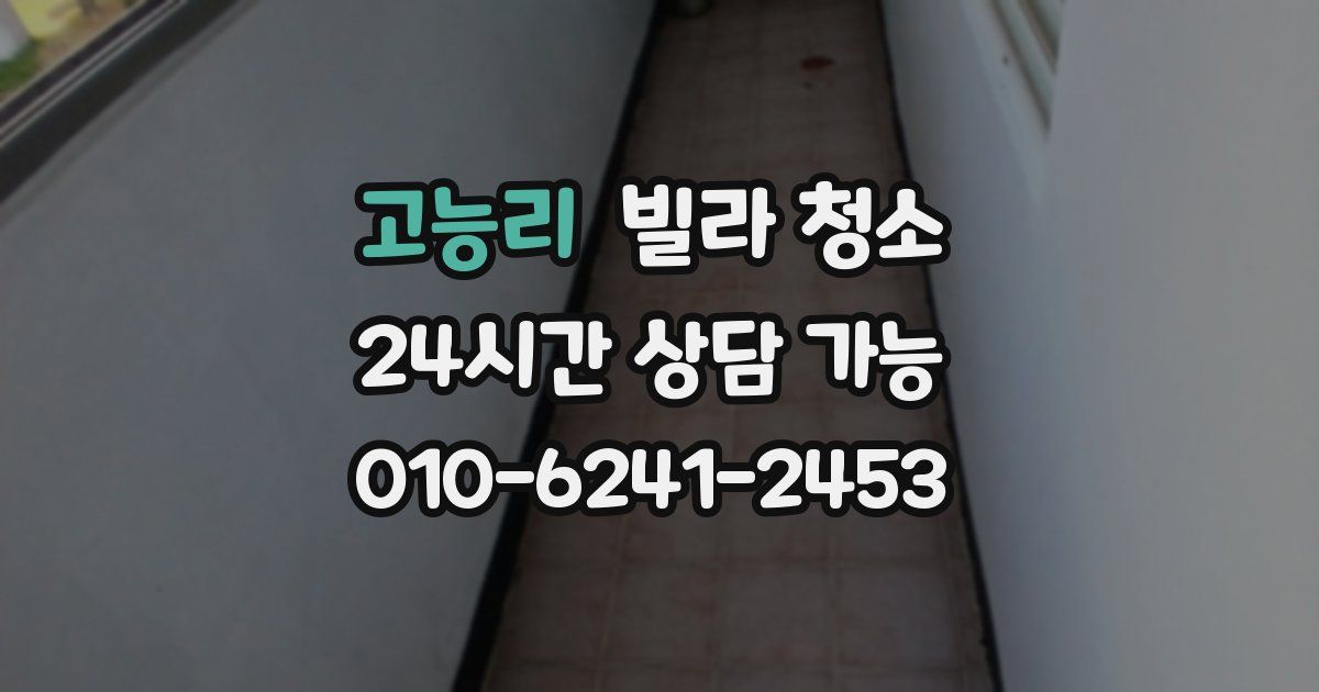 고능리 빌라 청소