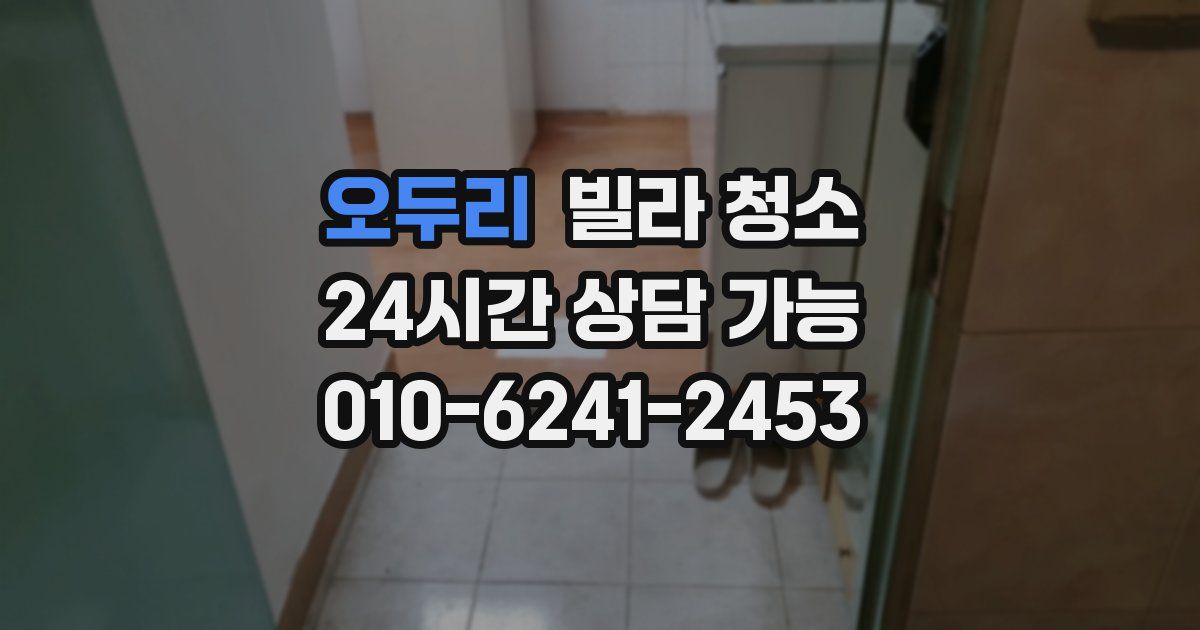 오두리 빌라 청소