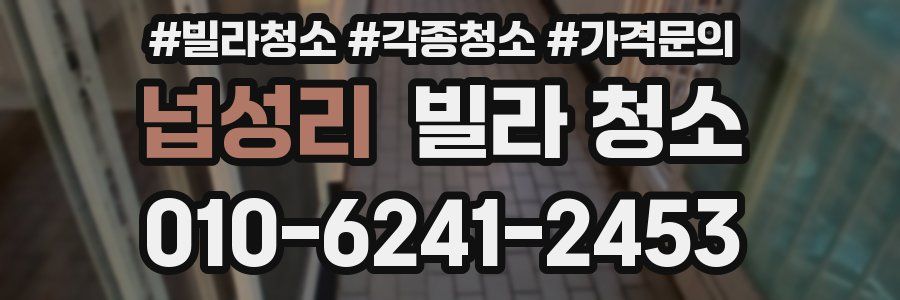 넙성리 빌라 청소