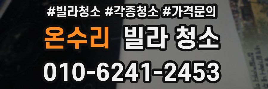 온수리 빌라 청소