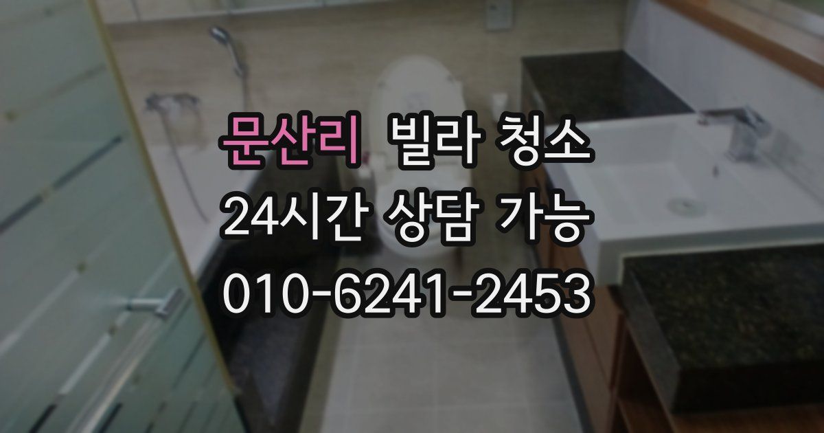 문산리 빌라 청소