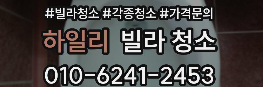 하일리 빌라 청소