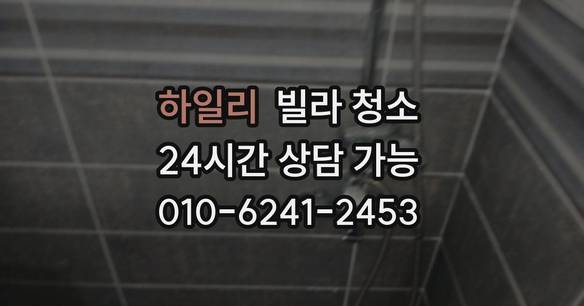 하일리 빌라 청소