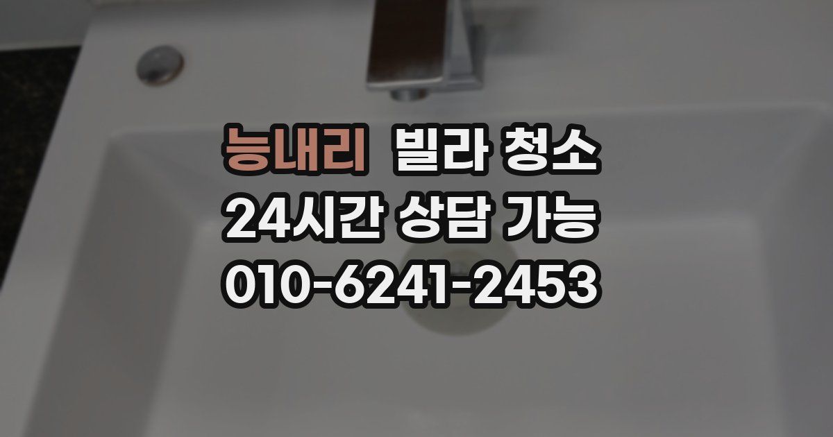 능내리 빌라 청소