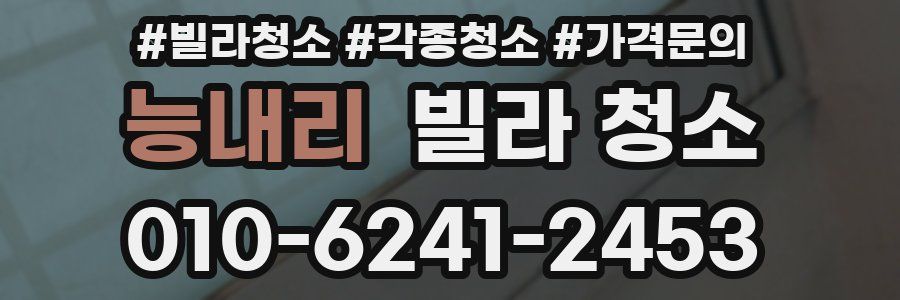 능내리 빌라 청소
